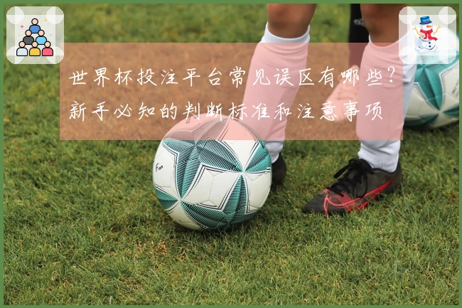 世界杯投注平台常见误区有哪些？新手必知的判断标准和注意事项